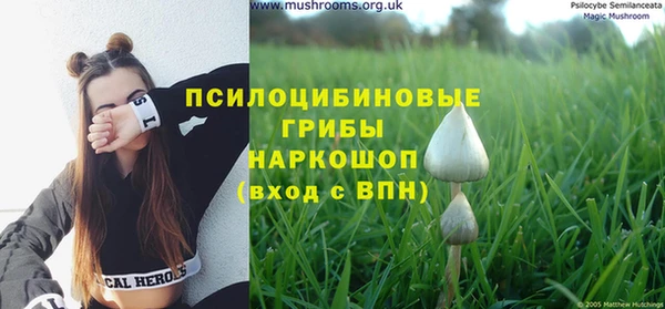 MDMA Богородск