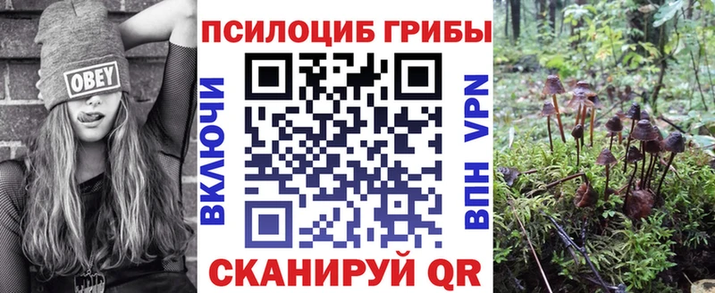 Псилоцибиновые грибы Cubensis  Электроугли 